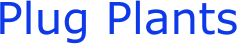 Plug Plants