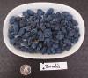 Borealis Haskap Plants